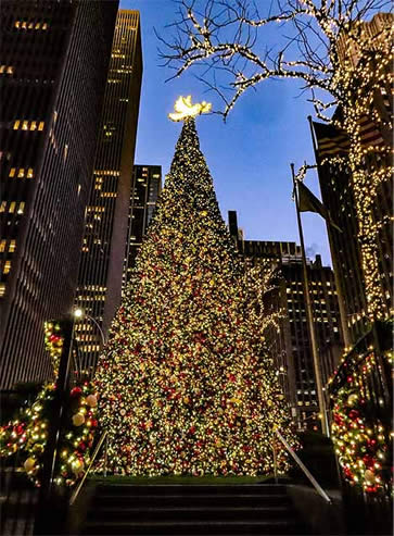 New York City Big outdoor decorated tree