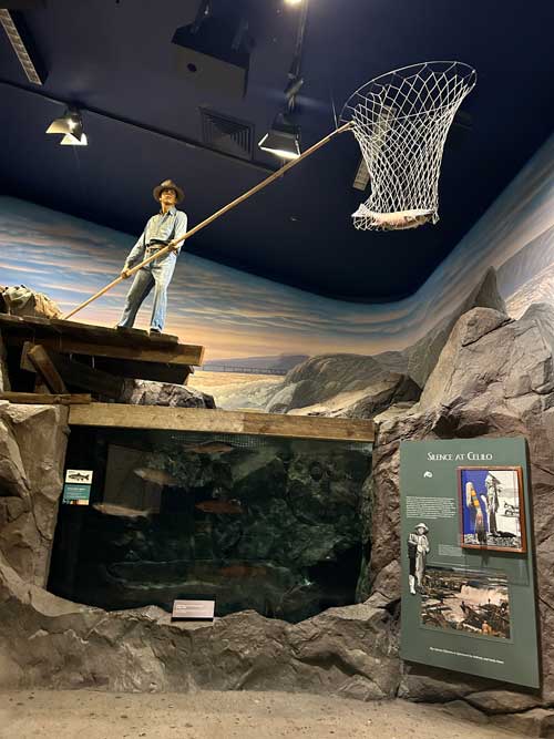 High Desert Museum fisherman netting a salmon