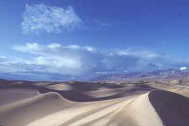 Mesquite Sand Dunes