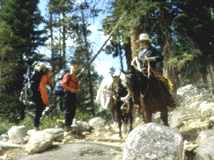 Greeting backpackers