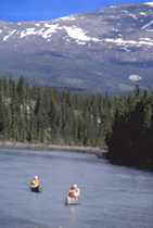 Paddlers