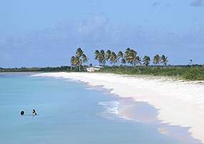 Barbuda Beach