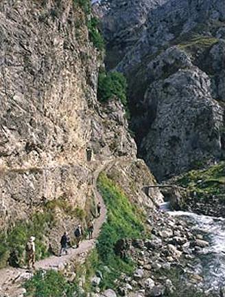 Picos de Europa