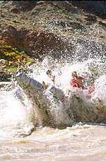 img_ca1.jpg (12220 bytes)