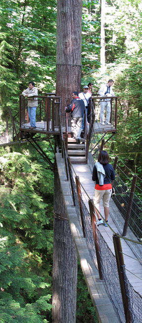 Treetop Adventure, Capilano