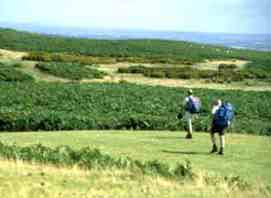 Hikers in the moors