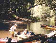 Wailua kayakers