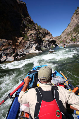 Wild Gunnison