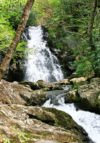 Spruce Falls SMNP