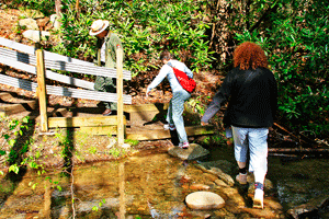 Smokey Mountains ranger-led hike