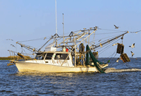 Shrimp boat