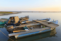 Oyster fishing boats