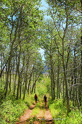 Oregon, Aspen Road to Nye Cabin