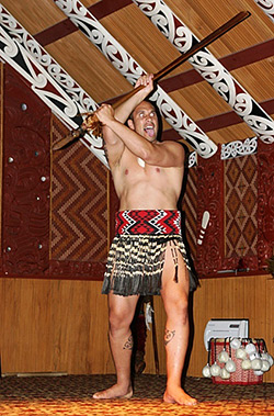 Te Puia Haka