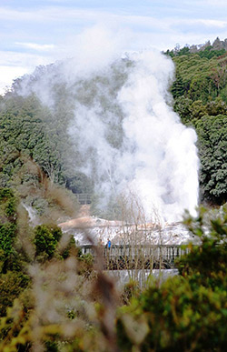 Te Puia Pohutu Geyser