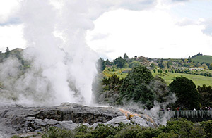 Whakarewarewa Pohutu Geyser