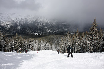 Tahoe's Alpine Meadows