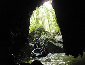 New Zealand Black Labyrinth