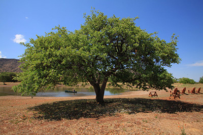 Arizona Canoeing the Pond