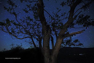 Arizona Dos Cabezas Nigh Sky