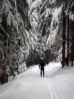 Rossland BC x-sking