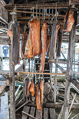 Icelandic fish drying