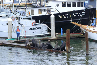 CA Moss Landing