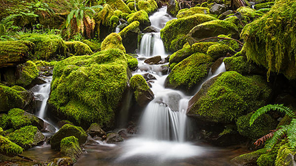 Waterfall in Olympic National Park