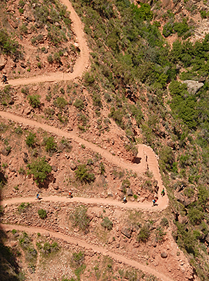 Grand Canyon trail