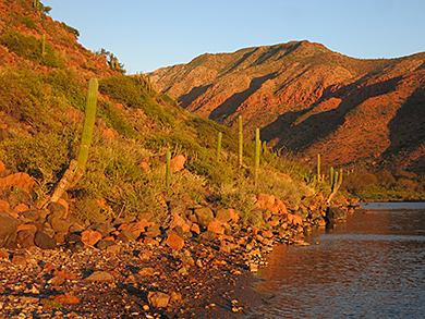 Sea of Cortez coast