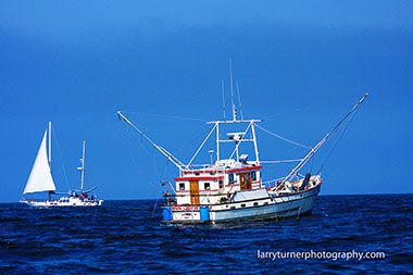 Boats at the mouth of the Umpqua River