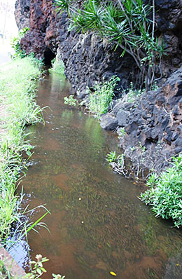 Menehune Ditch