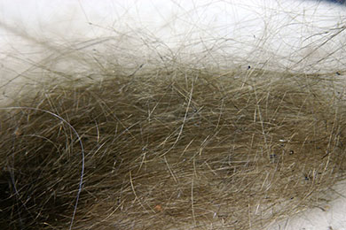 Pele’s Hair