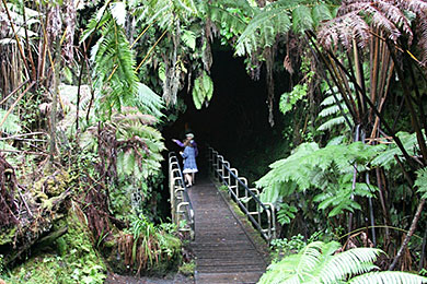 Thurston Lava Tube