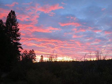 Bizz Johnson Trail sunrise