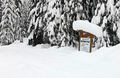 Golden, BC snowmobiling, West Bench Trailhead