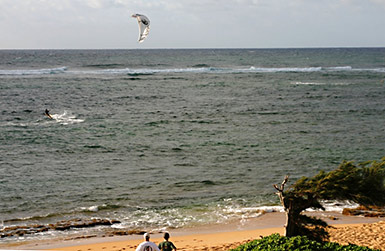 Waipouli Beach kite sailor