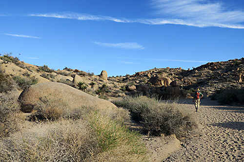 Joshua Tree, in search of the unknown