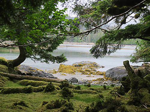 View from Ross Island tent