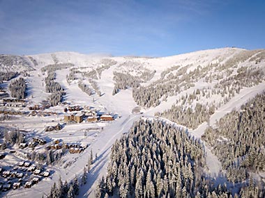 Schweitzer aerial view