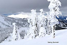 Schweitzer scenic