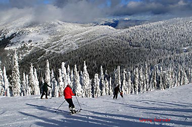 Schweitzer skiers