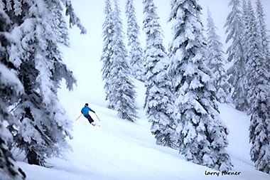 Schweitzer gladed run