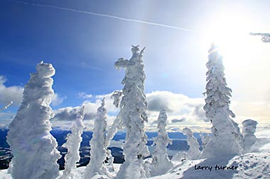 Schweitzer scenic