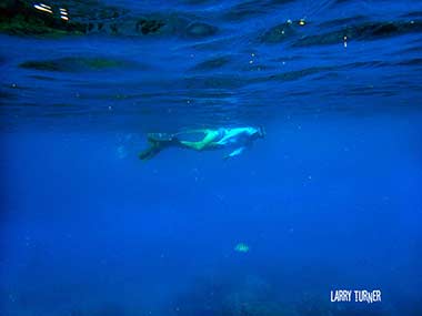 Road to Kahului snorkeling