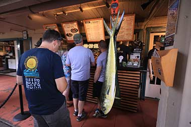 West Maui mahimahi