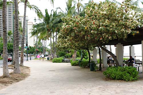 Waikiki sidewalk