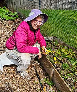 Gardening