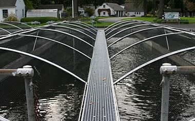 Bonneville Fish Hatchery and Rearing Pond, Oregon