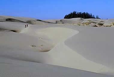 Oregon Dunes